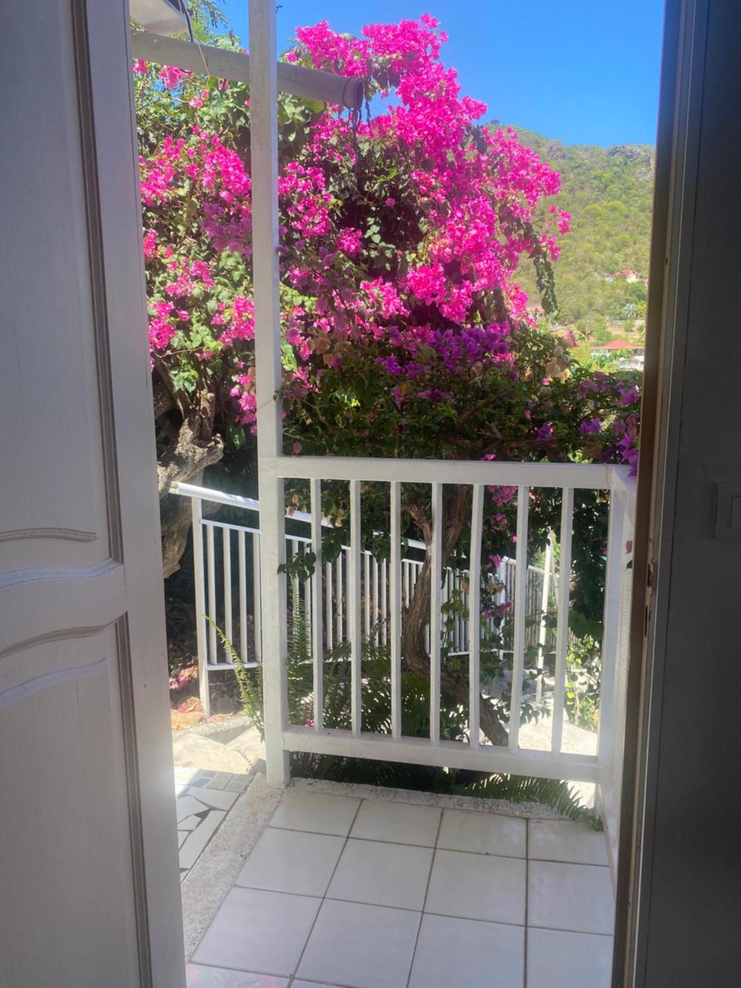 La Sucriere Apartamento Terre-De-Haut Exterior foto
